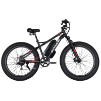 Електричний фетбайк FAT Space Apollo 48V 1000W з акумулятором 15Ah