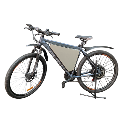 Електровелосипед Smart 48V 750W з акумулятором 35Ah